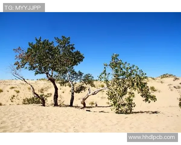 足球球星与香烟之间的隐秘故事及影响力探究